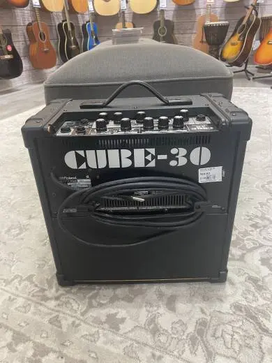 Roland Cube-30 2